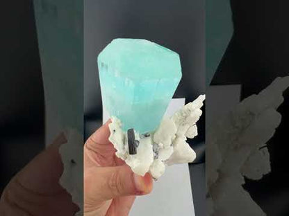 Natural Aquamarine Crystal with Schorl Tourmaline and Feldspar Matrix from Pakistan, 296 gram