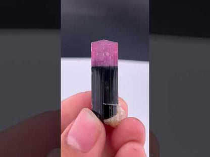 Bi-color Tourmaline Crystal From Afghanistan - 38.05 Carats