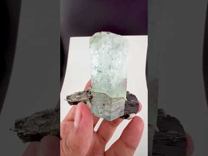 Blue Aquamarine Crystal on Schorl Tourmaline from Skardu Pakistan - 121 Grams