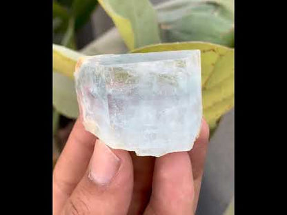 Bi-Color AquaMorganite Crystal from Pakistan - 53 Grams
