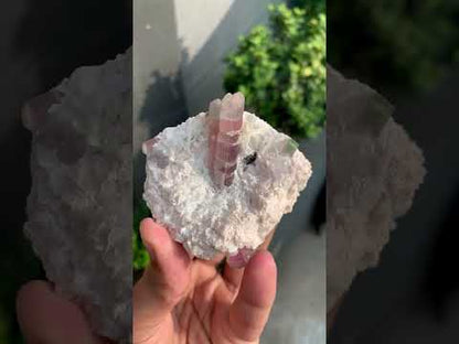 Bi-color Tourmaline on Matrix Afghanistan - 157 grams