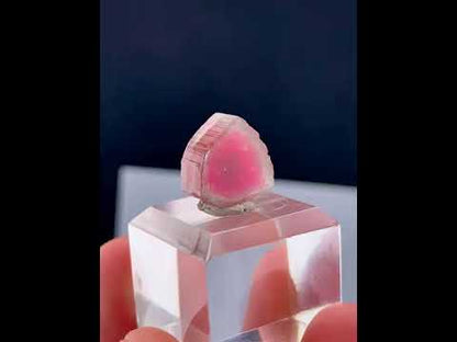 Watermelon Tourmaline Slice from Afghanistan - 14.35 Carats