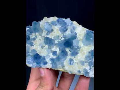 Blue Celestine Crystals On Yellow Calcite From Afghanistan - 460 Grams