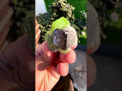 Peridot with Magnetite specimen from Pakistan, 28 gram