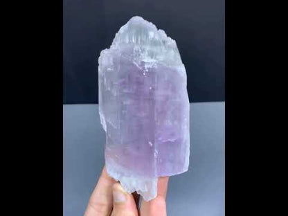 Double Terminated Bicolor Kunzite Crystal from Afghanistan - 166 Grams