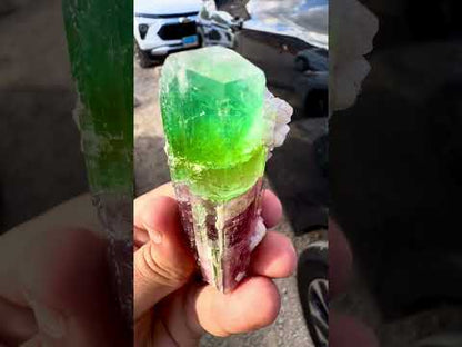 Watermelon Tourmaline Crystal with Lepidolite and Microlite from Paprok, 78 gram