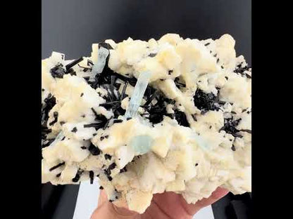 Blue Aquamarine Crystals With Schorl Tourmaline on Matrix From Pakistan - 751 Grams