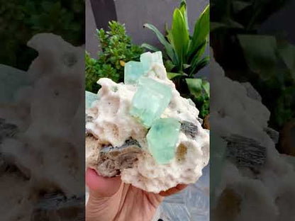 Blue Aquamarine Crystals with Mica and Albite from Pakistan - 680 Grams