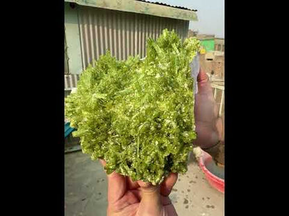 Green Tourmaline Crystals Cluster on matrix from Chapu Mine Pakistan, 3418 gram