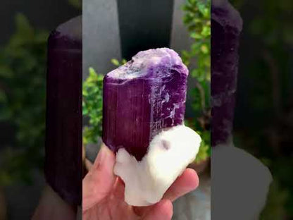 Purple Scapolite Crystal On Matrix from Afghanistan - 461 Grams