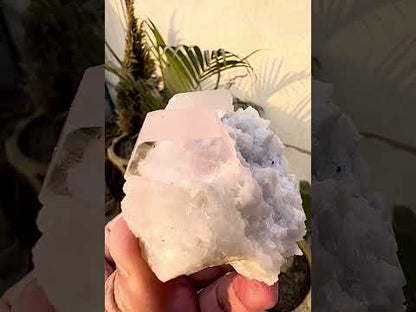 Morganite crysal with Quartz and Cleavlandite Albite from Afghanistan, 125 gram