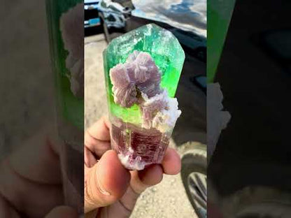 Watermelon Tourmaline Crystal with Lepidolite and Microlite from Paprok, 78 gram