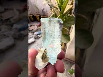 Aquamarine crystal with mica from Pakistan, 49 gram