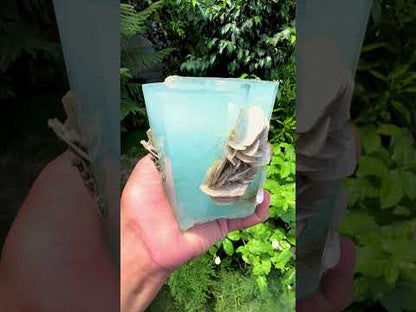 Aquamarine crystal with Muscovite Mica from Pakistan, 1433 gram