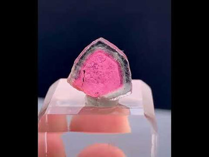 Watermelon Tourmaline Slice from Afghanistan - 7.50 Carats