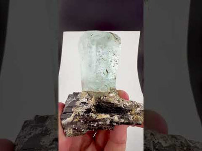 Blue Aquamarine Crystal on Schorl Tourmaline from Skardu Pakistan - 121 Grams