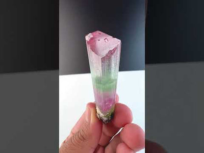 Multicolor Tourmaline Crystal from Paprok Afghanistan, 54 gram