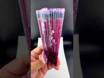 Blue Cap Tourmaline Crystal from Afghanistan, 213 gram
