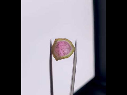 Watermelon Tourmaline Slice from Afghanistan - 7.75 Carats