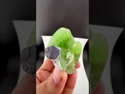 Green Peridot Crystal with Magnetite from Pakistan - 60 Grams