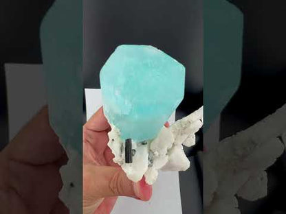 Natural Aquamarine Crystal with Schorl Tourmaline and Feldspar Matrix from Pakistan, 296 gram
