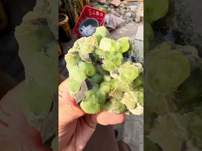 Peridot Crystals with Magnetite from Pakistan, 203 gram