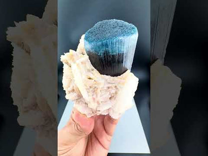 Blue Cap Tourmaline with Cleavlandite Albite from Afghanistan, 310 gran