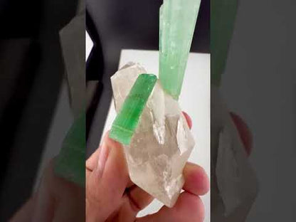 Green Tourmaline Crystals on Quartz from Afghanistan - 113 Grams