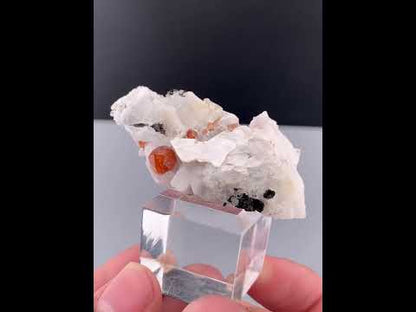 Orange Garnet Crystals With Quartz and Mica On Matrix From Pakistan - 23 Grams