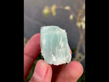 Etched Terminated Bicolor Aquamorganite Crystal From Pakistan - 22 Gram