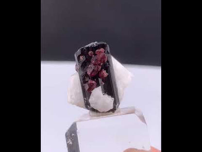 Red Spessertine Garnet Crystals on Schorl Tourmaline From Pakistan - 13 Grams