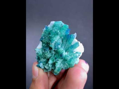 Indicolite Blue Tourmaline Crystal Bunch From Afghanistan - 46 Grams