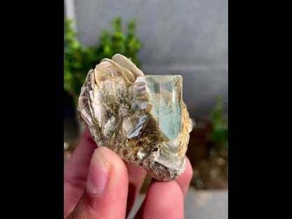 Aquamarine Crystal With Mica on Matrix From Pakistan - 63 Grams