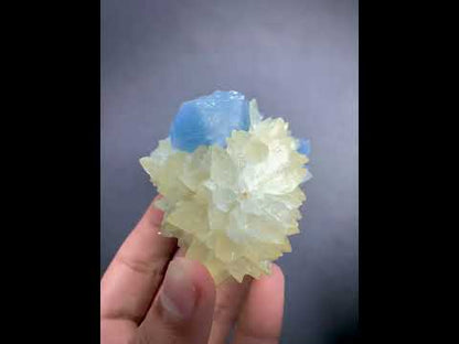 Blue Celestine Crystal on Yellow Calcite From Afghanistan - 170 Grams