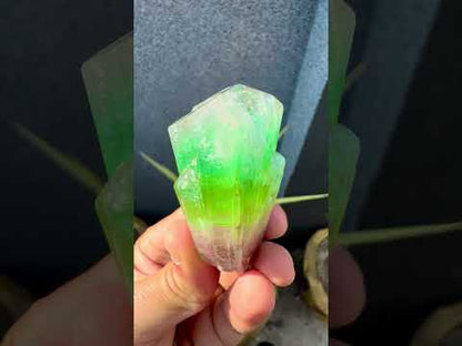 Multicolor Tourmaline Crystal from Paprok  - 76 gram