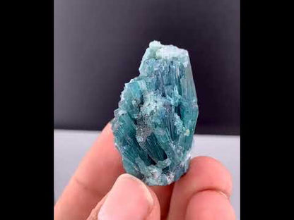 Indicolite Blue Tourmaline Crystal Bunch From Afghanistan - 24 Grams