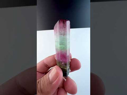 Multicolor Tourmaline Crystal from Paprok Afghanistan, 54 gram
