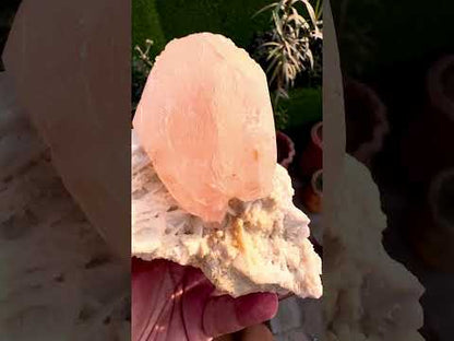 Morganite with Mica and Albite from Afghanistan, 699 gram