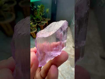 Facet Grade Pink Kunzite Crystal From Afghanistan - 44 Grams