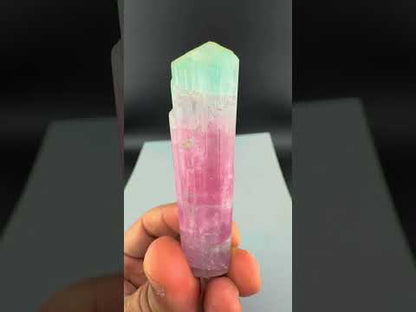Bicolor Tourmaline Crystal from Afghanistan - 39 Grams