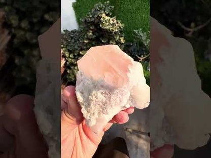 Morganite with Kunzite, Lepidolite and Quartz from Afghanistan, 154 gram