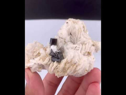 Rare Black Cassiterite Crystal With Tourmaline on Albite From Skardu Pakistan - 99 Grams