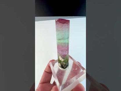 Multicolor Tourmaline Crystal from Paprok Afghanistan, 54 gram