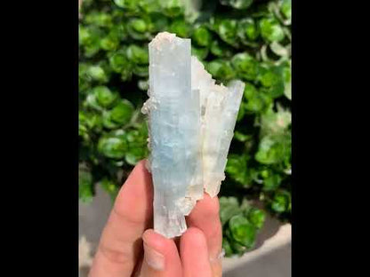 Natural Aquamarine Crystals, Stepwise Terminated Mineral Specimen, Pakistan