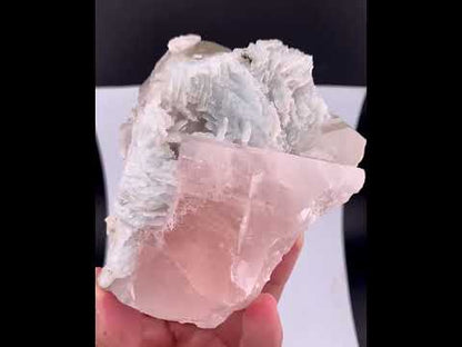 Pink Morganite With Cleavlandite Albite from Afghanistan - 459 Grams
