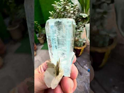 Aquamarine crystal with mica from Pakistan, 49 gram