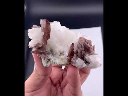 Brown Axinite Crystals On penicillin From Skardu Pakistan - 197 Grams