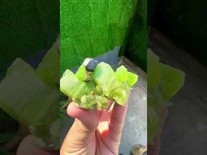 Peridot Crystals with Magnetite from Pakistan, 115 gram