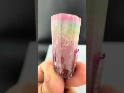 Rainbow Tourmaline crystal from Afghanistan, 125 carats