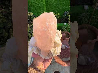 Morganite with Mica and Albite from Afghanistan, 699 gram